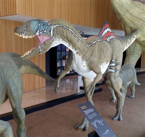 Qué ver en Cuenca: ¡dinosaurios!   Blog   Gran Pequeño