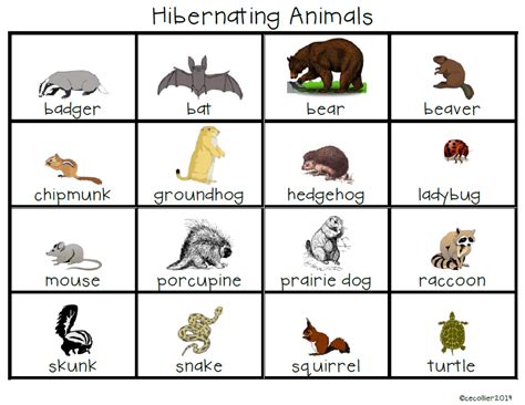 Quels sont les animaux qui hibernent ? | Hibernating animals preschool ...