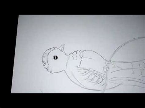 Quetzal dibujado con bolígrafo   YouTube