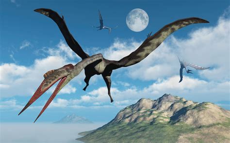 Quetzalcoatlus: el dinosaurio volador más grande que jamás ...