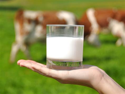 Quién fabrica la leche de marca blanca de Mercadona ...