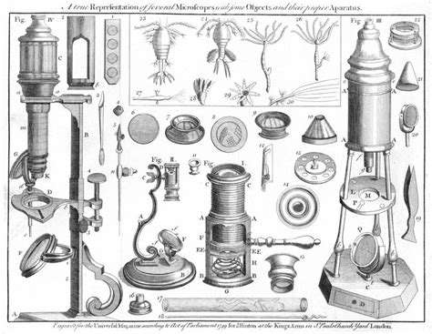 Quién inventó el microscopio compuesto   VIX