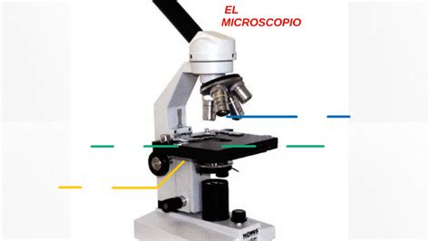 Quien invento el microscopio? by Valentina Sandoval on Prezi
