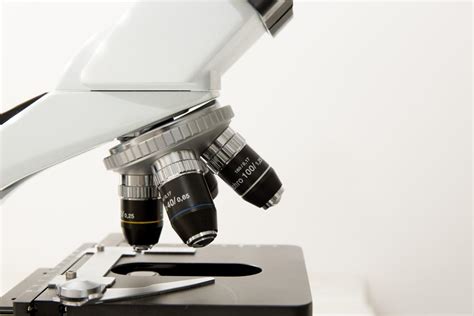 ¿Quién inventó el microscopio? | Entretenimiento