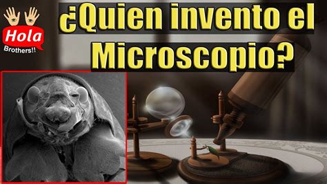 ¿Quién inventó el microscopio?   Historia del microscopio ...