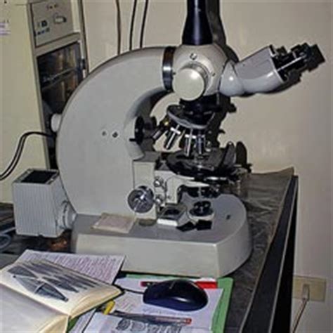 ¿Quién inventó el microscopio?   Saberia