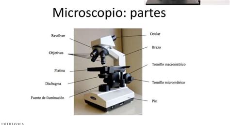 ¿Quién inventó el primer microscopio? | Las Preguntas Trivia