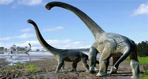 ¿Quienes fueron los dinosaurios? ️ » Respuestas.tips