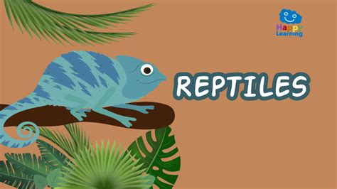 Quiz: Los Reptiles   Juegos para Niños | Happy Learning