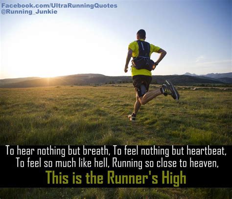 Quotes About Runners High. QuotesGram