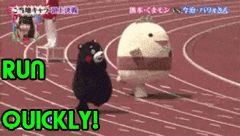Race Quickly GIF Quickly Race Japanese GIFs | Say more ...