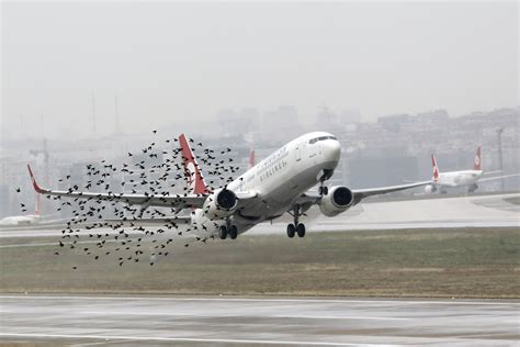 Radar Stops Aircraft Colliding With Each Other    It ...