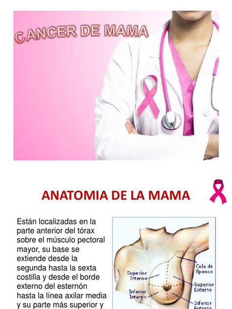 Radioterapia en Cancer de Mama | Cáncer de mama | Pecho