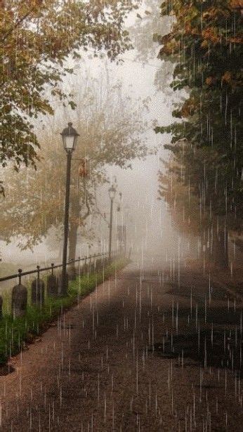 Rain/ lluvia  con imágenes  | Fotografía de lluvia, Paisaje de ...