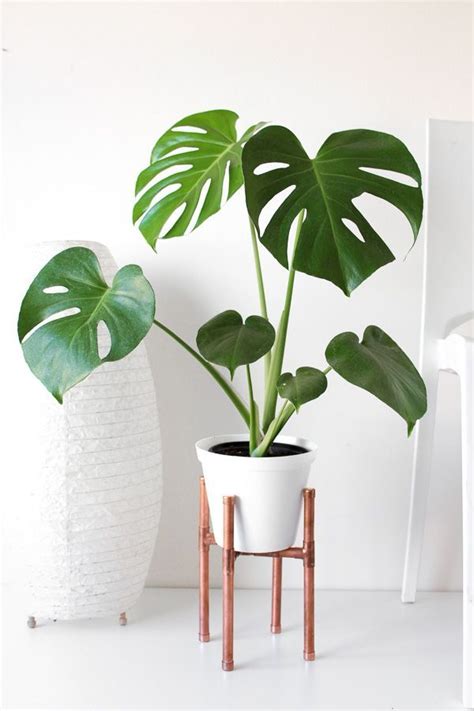 Raised Copper Pot Plant Stand DIY // Tutorial | cryb | Diy ...