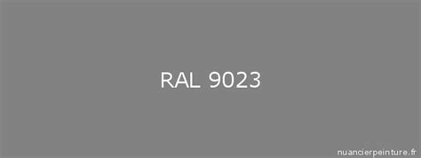 RAL 9023 : Peinture RAL 9023  Gris foncé nacré  | NuancierPeinture.fr