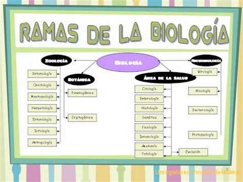 Ramas de biologia1 06 11 17 33_wmv.wmv   YouTube