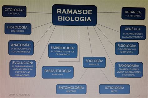 RAMAS DE LA BIOLOGIA ~ BIO.BLOG.
