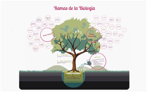 Ramas de la Biología by Ayari Salas Montano on Prezi