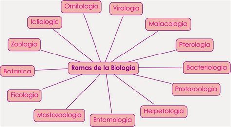 Ramas de la biologia | Wikia Biologíaa | FANDOM powered by ...