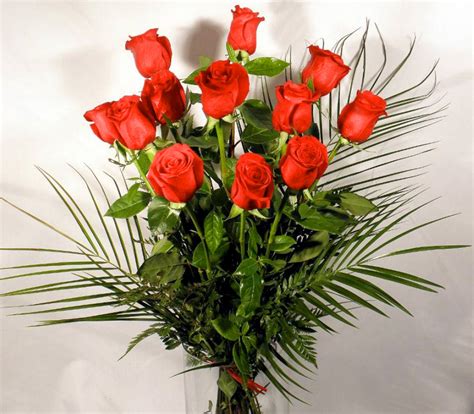 Ramo 12 rosas rojas extra | Floristería Zaragoza   Flores Elena   Envío ...