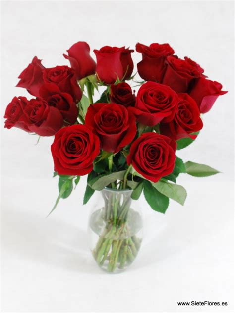 Ramo 24 Rosas rojas de tallo corto. Tienda Online de flores en Zaragoza