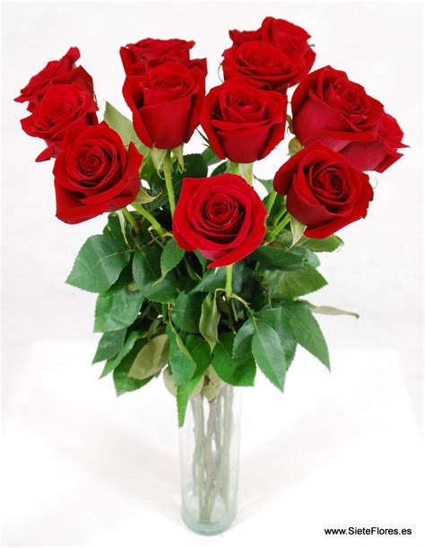 Ramo de 12 Rosas rojas Extra  tallo largo . Tienda Online de flores en ...