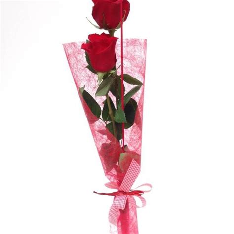 ramo de 2 rosas rojas, un perfecto ramos de rosas para regalar y al ...