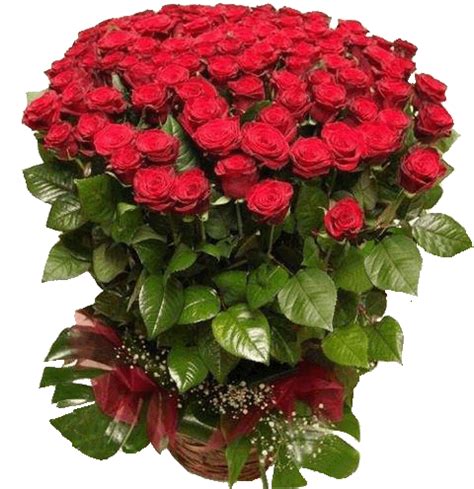 Ramo de rosas rojas | Corporate flowers, Beautiful flowers, Flowers