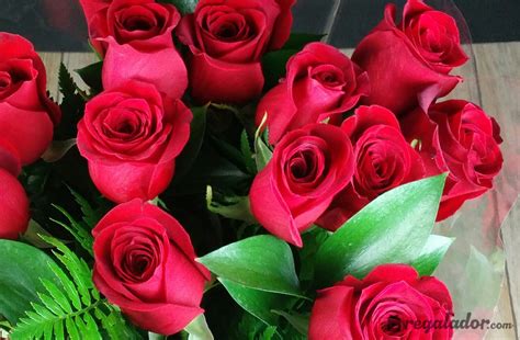 Ramo de rosas rojas para enamorar | Regalador.com