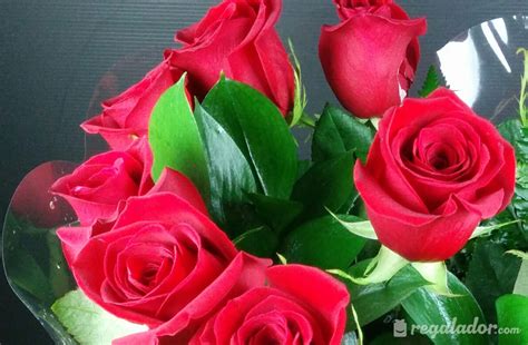 Ramo de rosas rojas para enamorar | Regalador.com