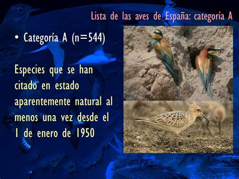 Rare Birds in Spain Blog: Lista de las aves de España 2012