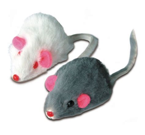 Raton para gatos
