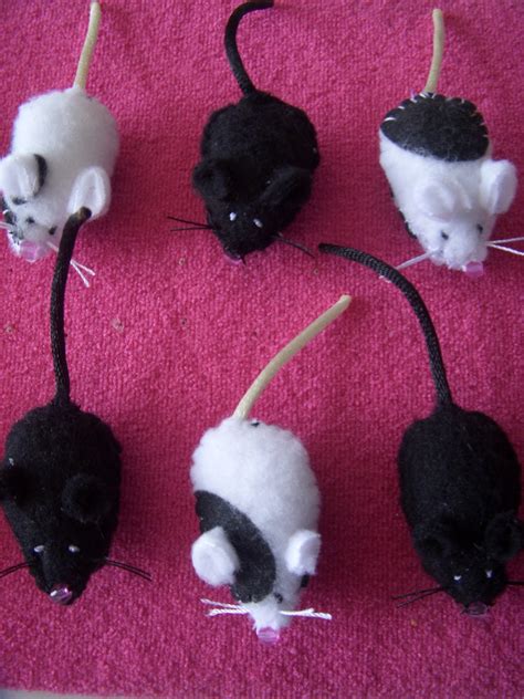 Ratones para gatos! | KuteBit
