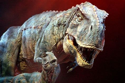 Real life Jurassic Park: Dinosaurs could be brought back ...