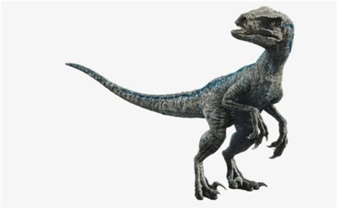 Real Velociraptor V.S Jurassic World | Science Amino