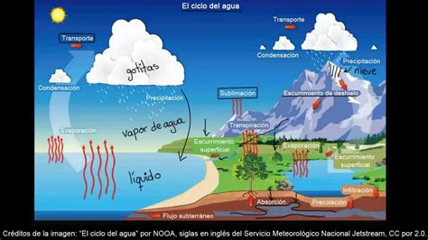 Realiza un dibujo esquema del ciclo del agua indica los ...
