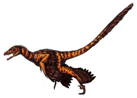 ¿Realmente los dinosaurios tenían plumas?