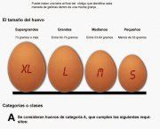 Recetas de etiquetado y clasificacion de los huevos | Qué Recetas
