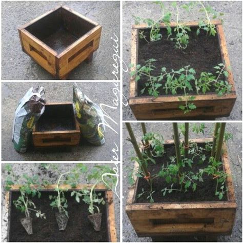 reciclage caja madera. maceta para tomates cherry. | Macetas de madera ...