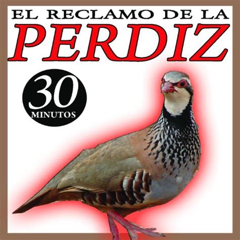 Reclamo De La Perdiz by Sonido y Cantos de Pajaros on ...