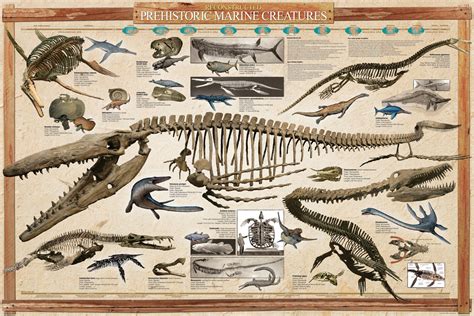 Reconstructed Prehistoric Marine Creatures, Poster at Eurographics