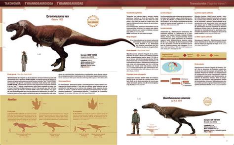 Records y curiosidades de los dinosaurios | Pájaros en la ...