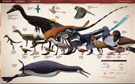 Records y curiosidades de los dinosaurios | Pájaros en la ...
