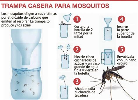 recursos caseros contra los mosquitos | Trampa casera para ...