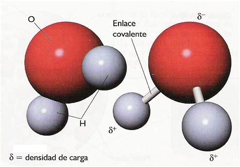 Recursos para estudiar ciencias: Estructura química del agua