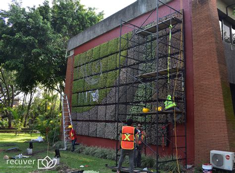 Recuver | Nuestros muros verdes reducen costos y tiempos de instalacion