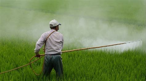 Reducir el uso de pesticidas es un deber y obligación ...