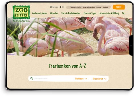 Referenz   Zoo Leipzig, Webseite mit TYPO3 | clickstorm