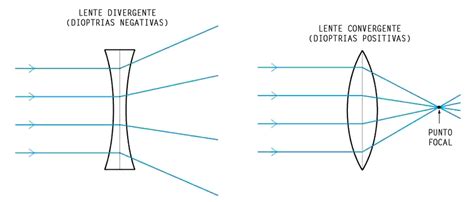 Refracción en lentes divergentes y convergentes | Download ...